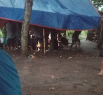 Diduga Ada Praktik Judi Dadu di Pasar Sapi Desa Condro, Warga Minta Penertiban
