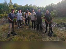 PII Jatim Tanam 3.000 Mangrove Sebagai Manifestasi Budaya Pembangunan