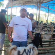 Sambut Idul Adha 1447 H, Ketua Umum KWI Umar Hayat Beli Kambing Kurban