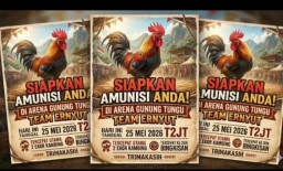 Diduga Kembali Beroperasi, Arena Sabung Ayam di Gunung Tungu Ranu Yoso Ramai Didatangi Peserta Luar Daerah