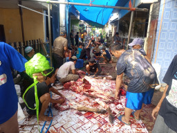 TPQ Griya Ta’lim Gelar Pemotongan Hewan Qurban di Girilaya Surabaya.