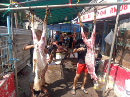 Mushollah Darul Jannah Gelar Pemotongan Hewan Qurban di Girilaya Surabaya