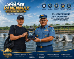 Nutrisi JawaPes Panenmax Hadir Berikan Solusi bagi Pembudidaya Ikan dan Udang