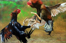 Diduga Sabung Ayam di Dusun Siluman Bades Masih Berlangsung, Warga Pertanyakan Keseriusan Penindakan