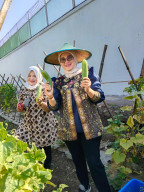 Panen Timun Melimpah, Lapas Kelas I Madiun Optimalkan Pembinaan Berbasis Pertanian