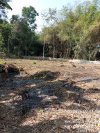 Dugaan Judi Sabung Ayam Karangduren Jadi Sorotan, Mbah Semar Konfirmasi dan Verifikasi Wajib Dilakukan