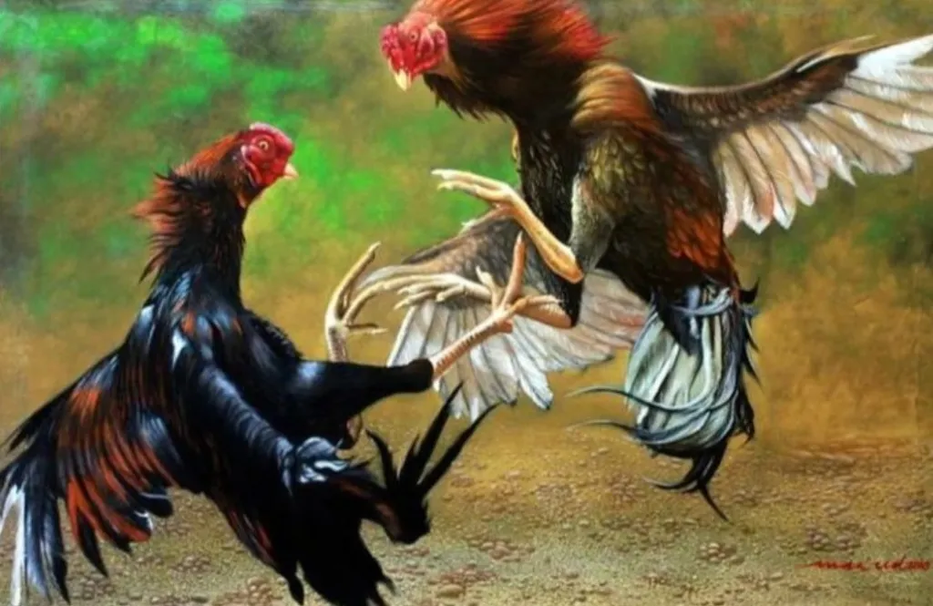 Diduga Sabung Ayam di Dusun Siluman Bades Masih Berlangsung, Warga Pertanyakan Keseriusan Penindakan
