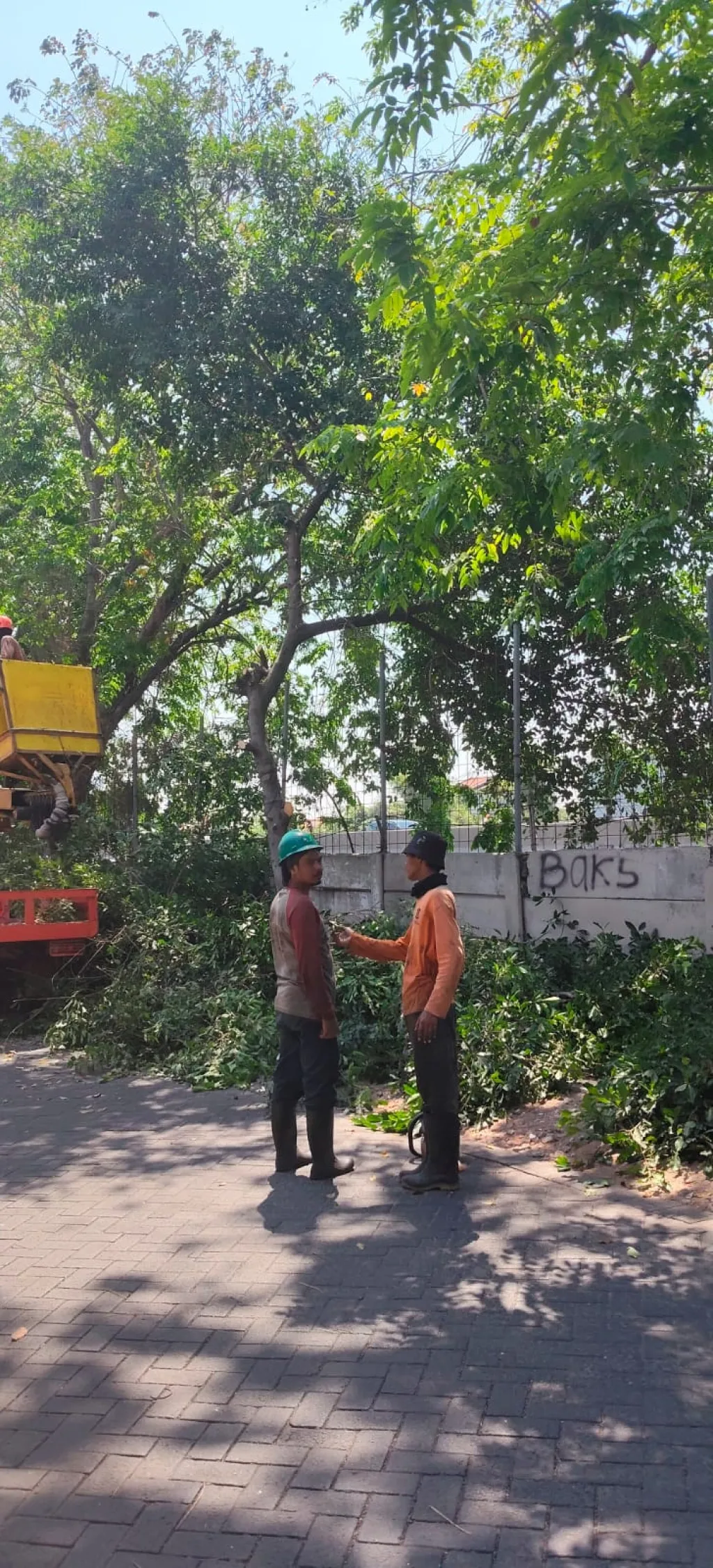 DLH Tebang Pohon di Simo Gunung Barat Tol, Warga Sambut Penataan Lingkungan