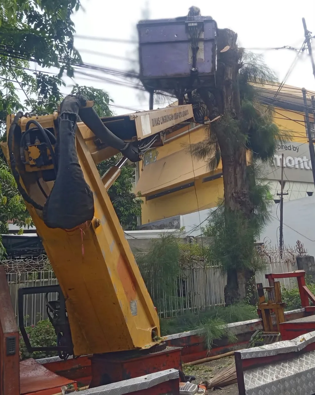 DLH Pangkas Pohon di Jalan WR Supratman hingga Imam Bonjol, Utamakan Keselamatan Warga