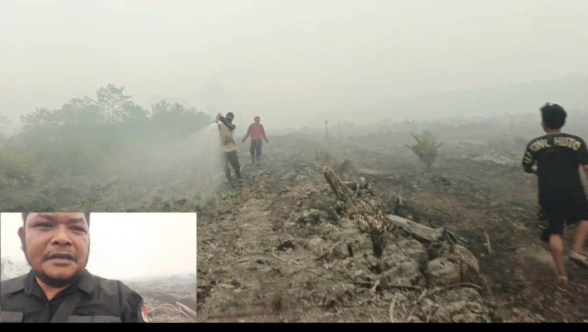 Dugaan Karhutla Merambah Lahan Baru PT Jalin Vaneo di Kayong Utara, Api Sulit Dipadamkan