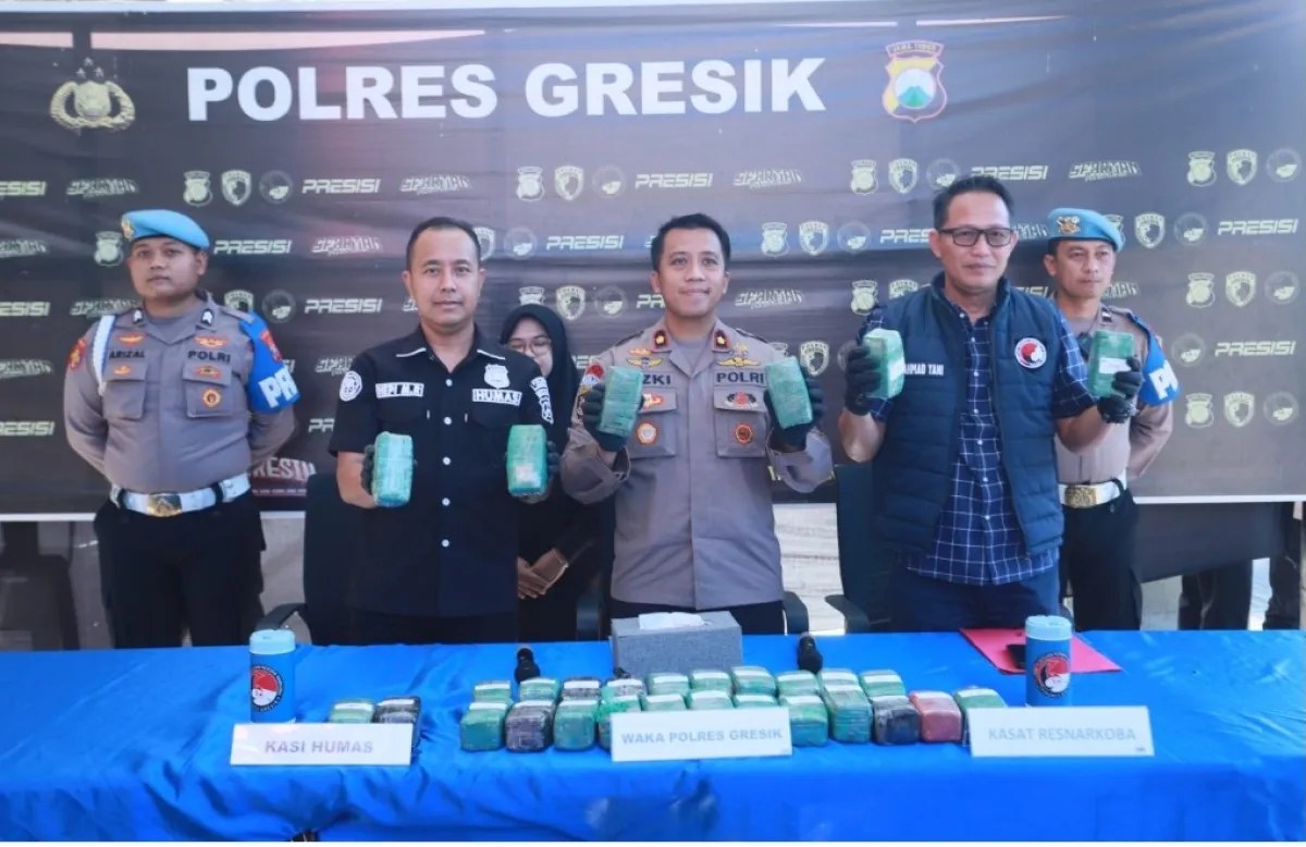 Polres Gresik Berhasil Gagalkan Penyeludupan, Sita 10,8 Kg Ganja di Gudang Ekspedisi